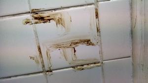 A 'Google-Search' for a shit swastika reveals this 11-month old picture.